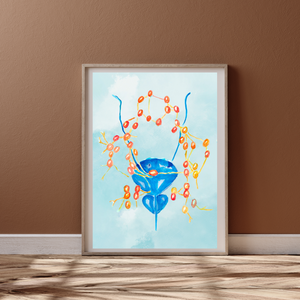 Pelvic Lymph Nodes Male Anatomy Urology Artwork