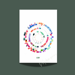 EBV Genome Art