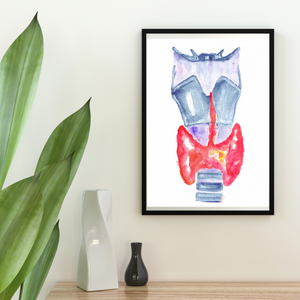 Thyroid Anatomy Art Print