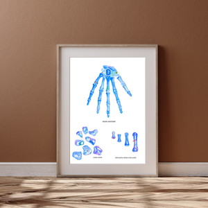 Hand Anatomy Art Print