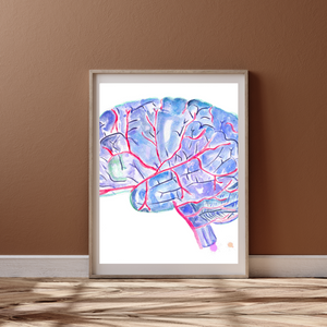 Brain Anatomy and Arteries Anatomy Art Print