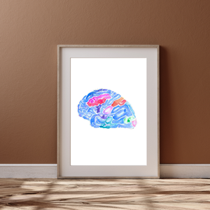 Brain Anatomy Art, Neurology Decor, Neurologist Gift, Neuroscience Art, SLP Art Print, Brain Art, Psychiatry Art, Medicine Art Print