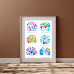 Brain Neuroanatomy Art, Neurologist Gift, Medical Office Decor