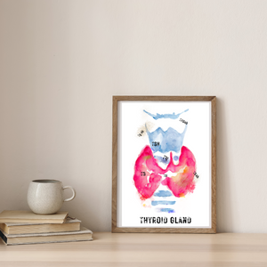 Thyroid Gland Abstract Anatomy Art Print