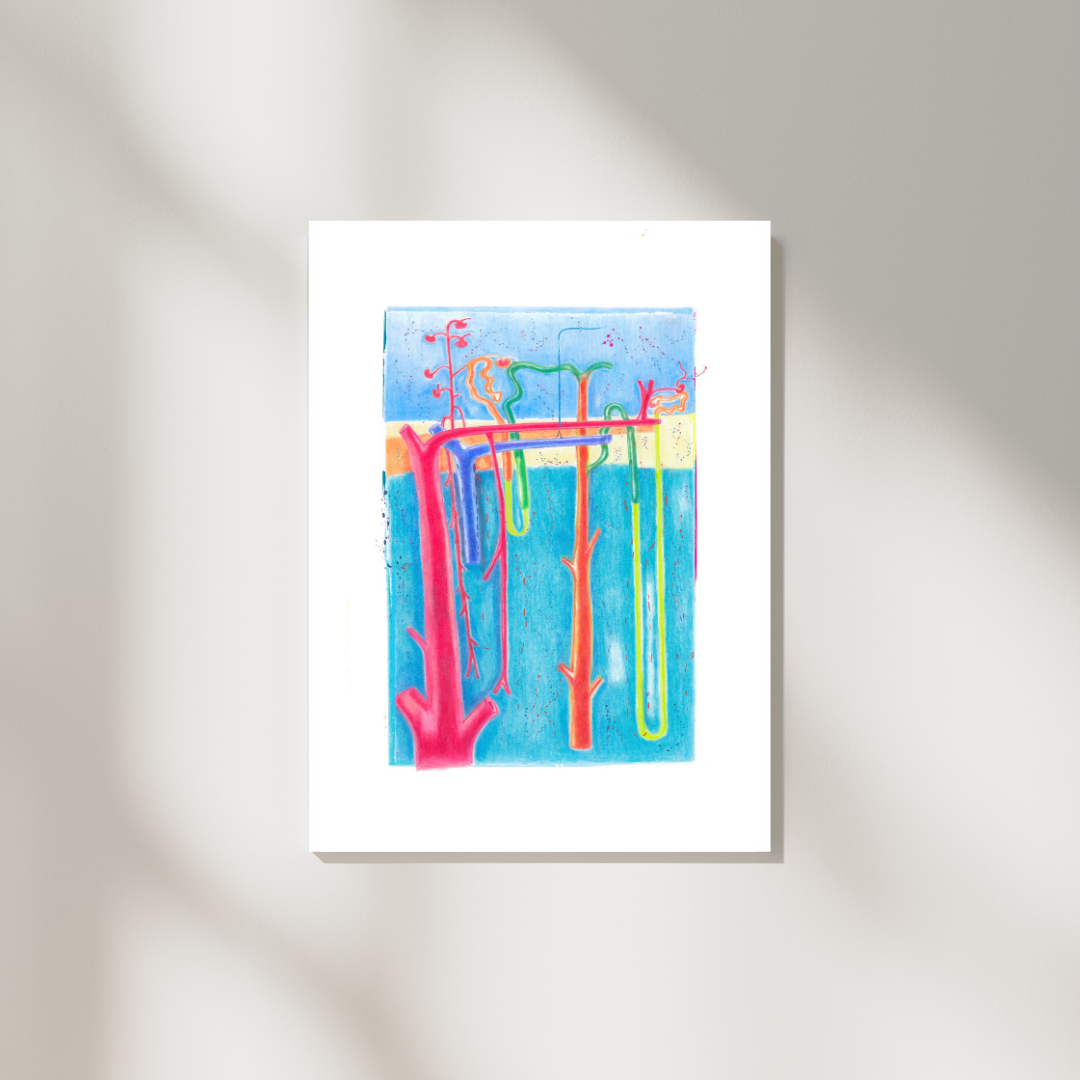 kidney vascular anatomy art print
