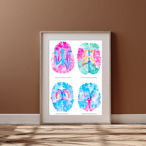 Brain Anatomy Artwork, Neurology Office Decor, Neuroscientist Gift