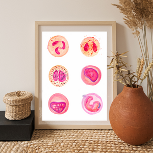 Leukocytes Art Print