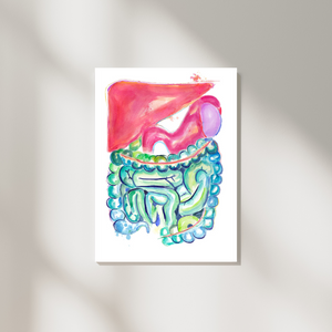 Gastrointestinal Watercolor Art Print