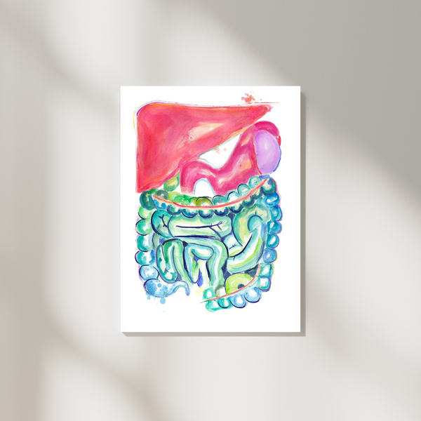 Gastrointestinal Watercolor Art Print - medpapers