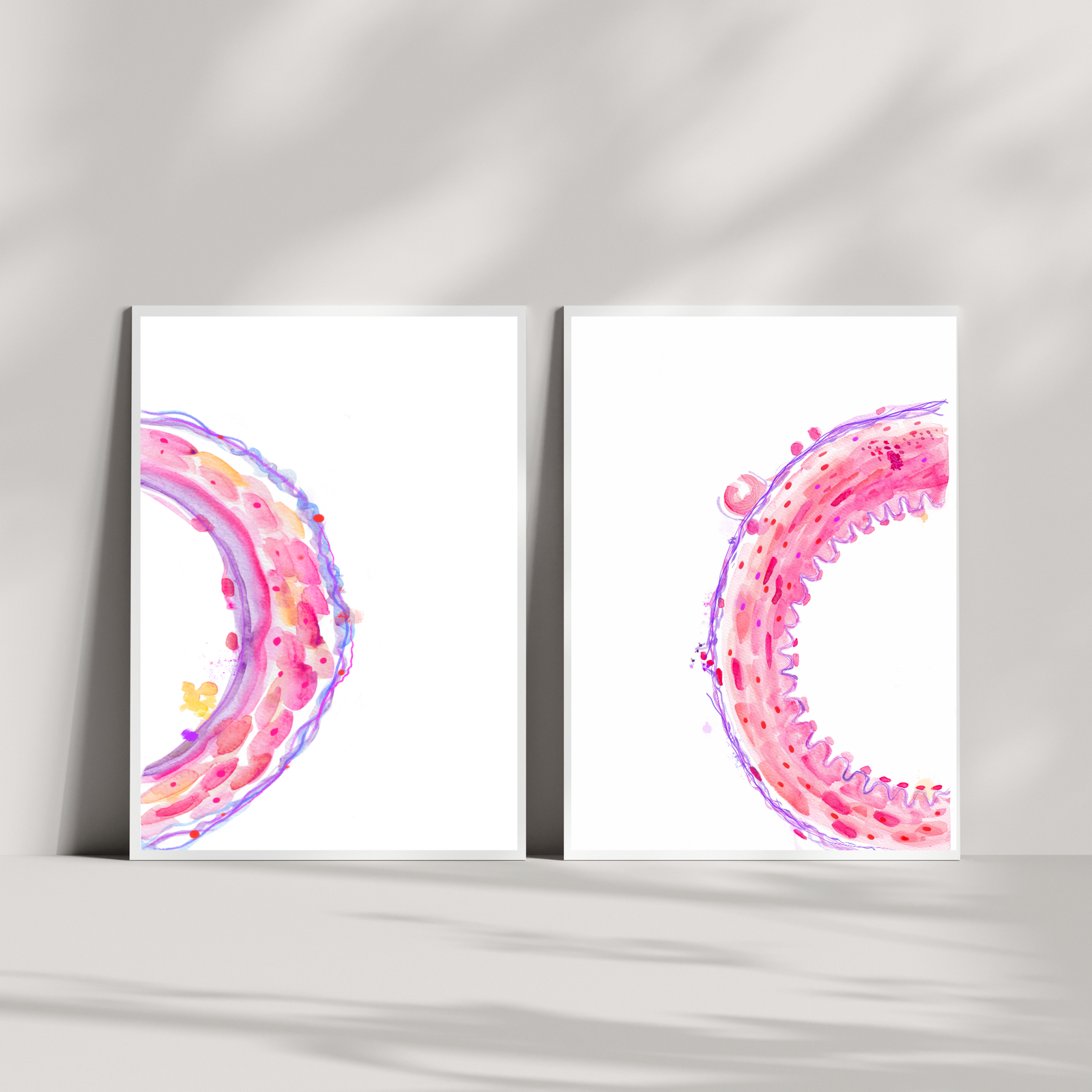 Artery and Vein Histology Art Print