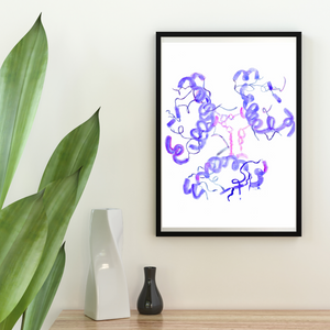 Human Insuline Folds Molecular Biology Art Print