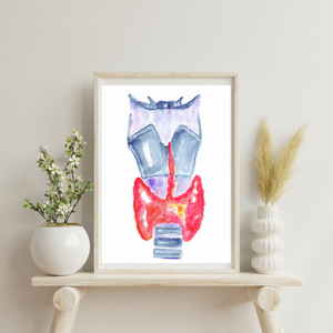 Thyroid Anatomy Art Print