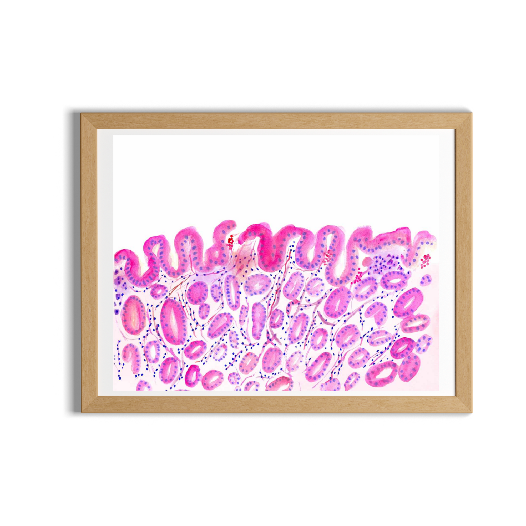 Stomach Histology Art
