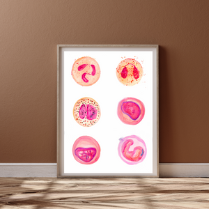 Leukocytes Art Print