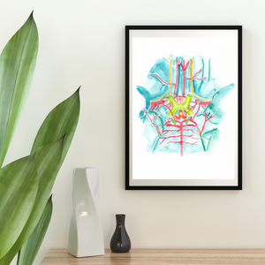 Circle of Willis, Brain Anatomy, Neurology Art, Neurologist Gift, Brain Wall Art, Brain Art Poster, Neuroscience Gift, Neuroscientist Art (Copy)