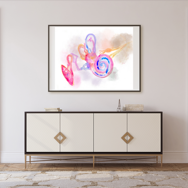 Ear Abstract Anatomy Art for ENT Offices - medpapers