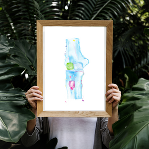 Elbow Anatomy, Orthopedic Surgery and Physical Therapy Office Art Print