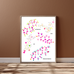 fertility clinic watercolor wall decor
female hormones