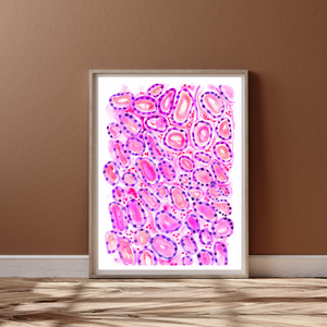 Thyroid Histology Art