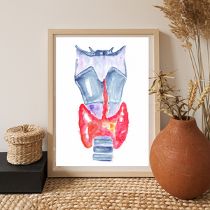 Thyroid Anatomy Art Print