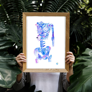 Skeleton Human Anatomy Art Print