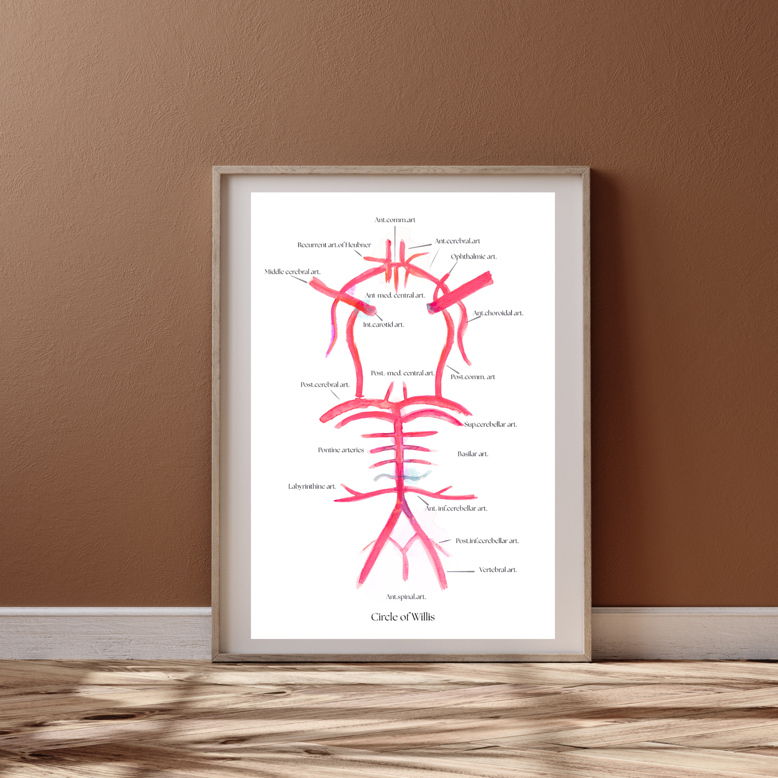 circle of willis anatomy abstract art print
