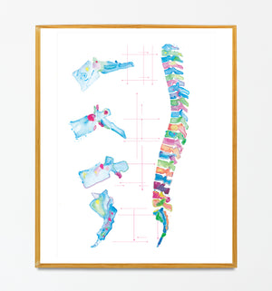 Spine Anatomy Abstract Art Print, Chiropractic Office Wall Art