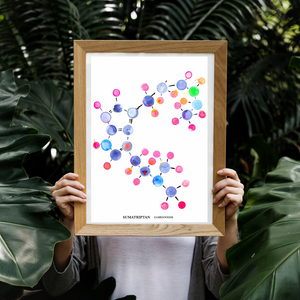 Sumatriptan Molecule Art Print