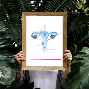 Uterus Anatomy Art Print, Abstract Anatomy Artwork OBGYN Office