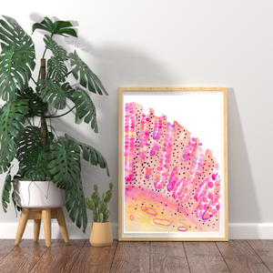 Colon Histology Art