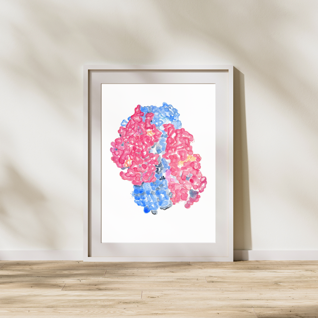 hemoglobin molecule structure