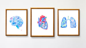 brain heart lung art print set