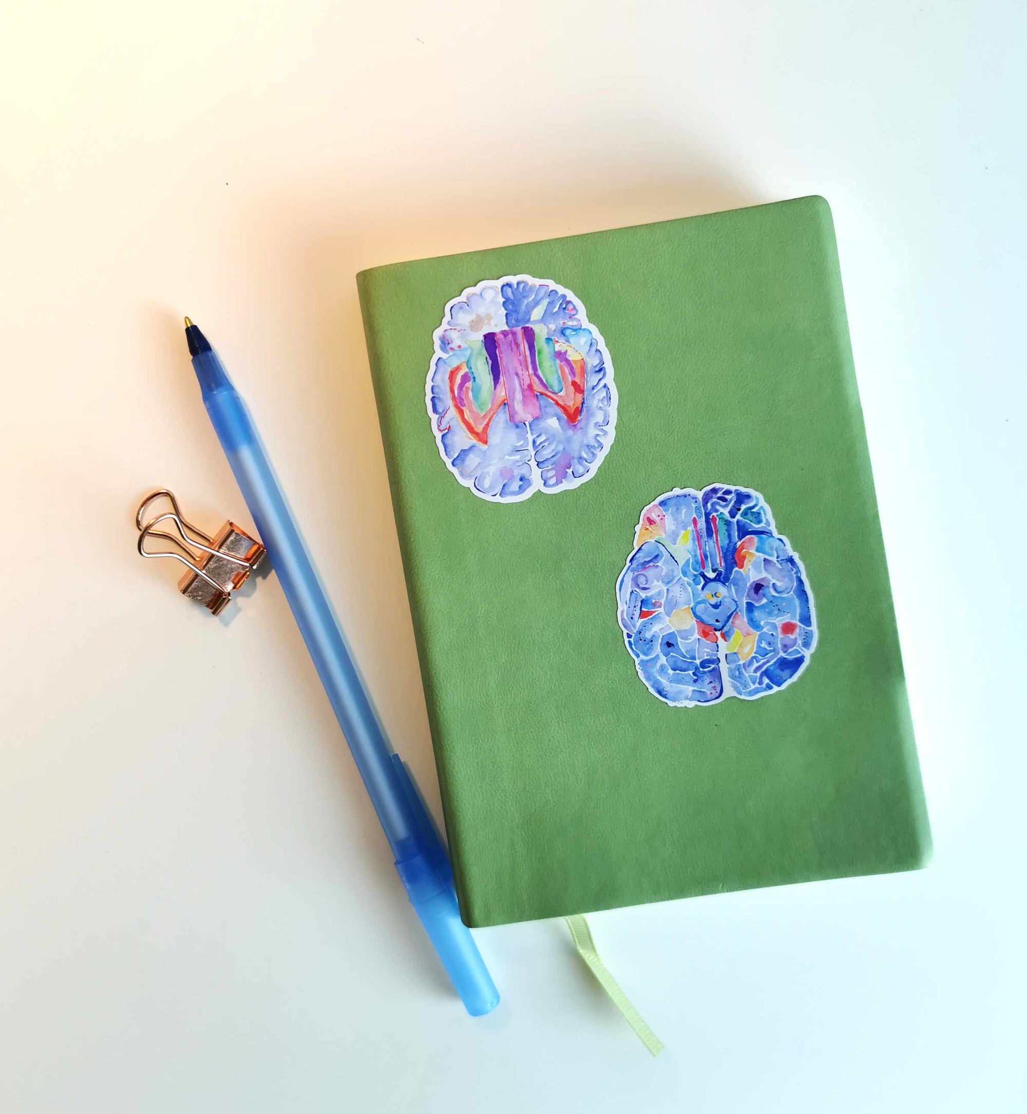 Brain Roots Stickers Brain Anatomy Stickers, Set of 4 - medpapers
