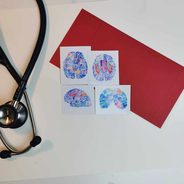 Brain Anatomy Stickers, Set of 4 - medpapers
