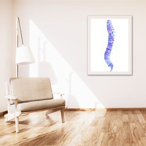 Human Anatomy Spine Abstract Anatomy Art Print, Chiropractic and Physical therapy Offices