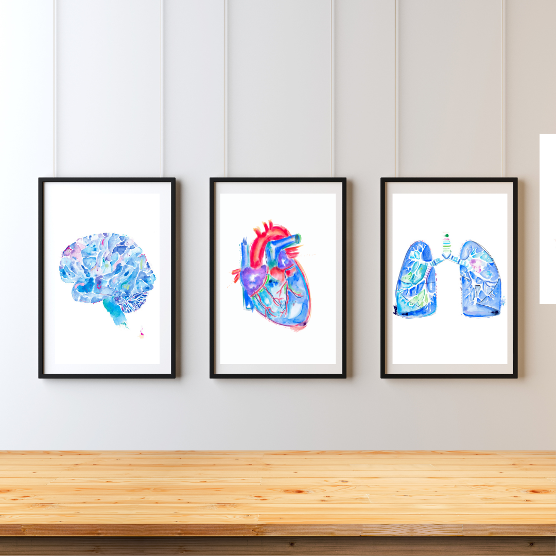 Human Anatomy Brain Heart Lung Art Print Set of 3 - medpapers