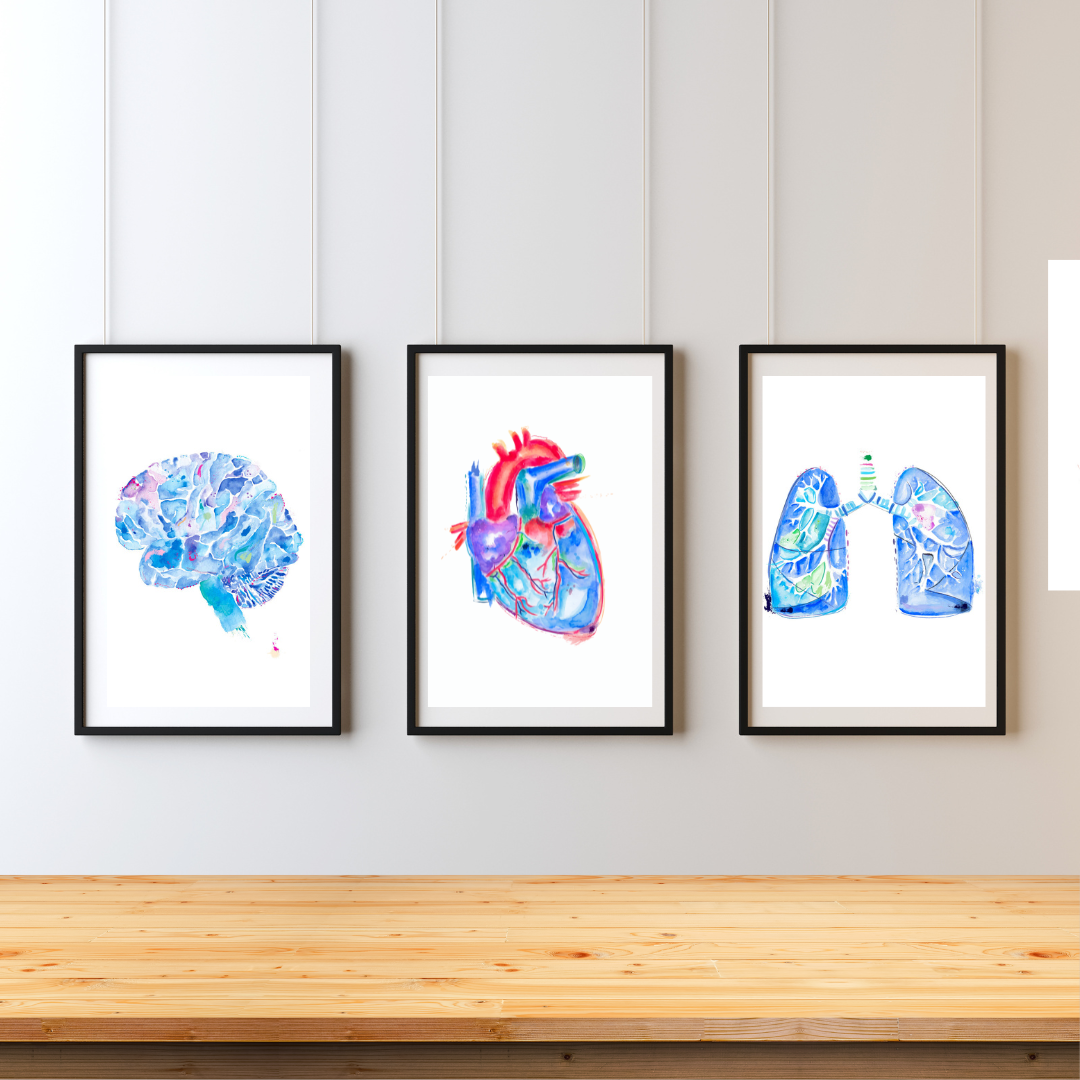 Human Anatomy Brain Heart Lung Art Print Set of 3