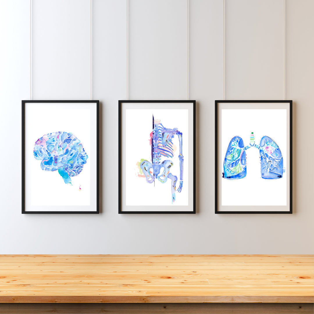 Anatomy Art Print set of Three: Brain, Skeleton and Lung