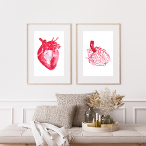 Human Heart Anatomy and Coronary Angiography Art Print Set