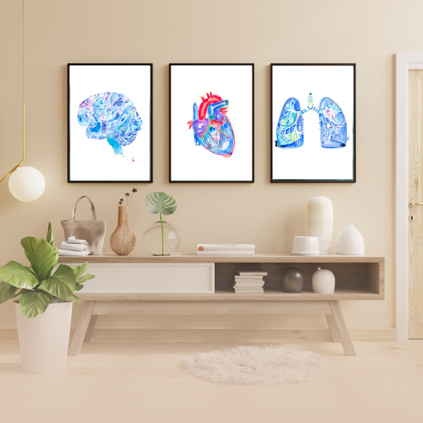 Human Anatomy Brain Heart Lung Art Print Set of 3 - medpapers