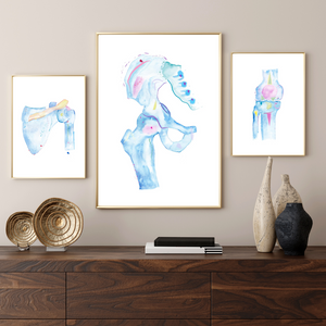 Shoulder, Knee, Pelvis Anatomy Art Set of 3, Orthopedic Art, Chiropractic Art, Physical Therapy Art