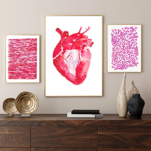 Heart Anatomy and Histology Art Print, Histopathology Art, Pathology Art, Pathologist Art, Cardiologist Gift, Cardiology Wall Art