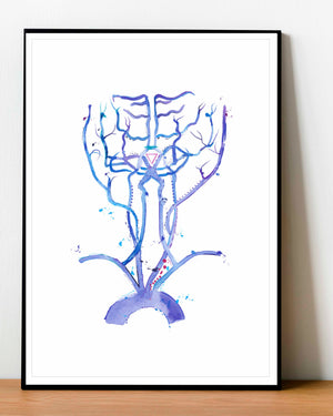 neurology anatomy artwork