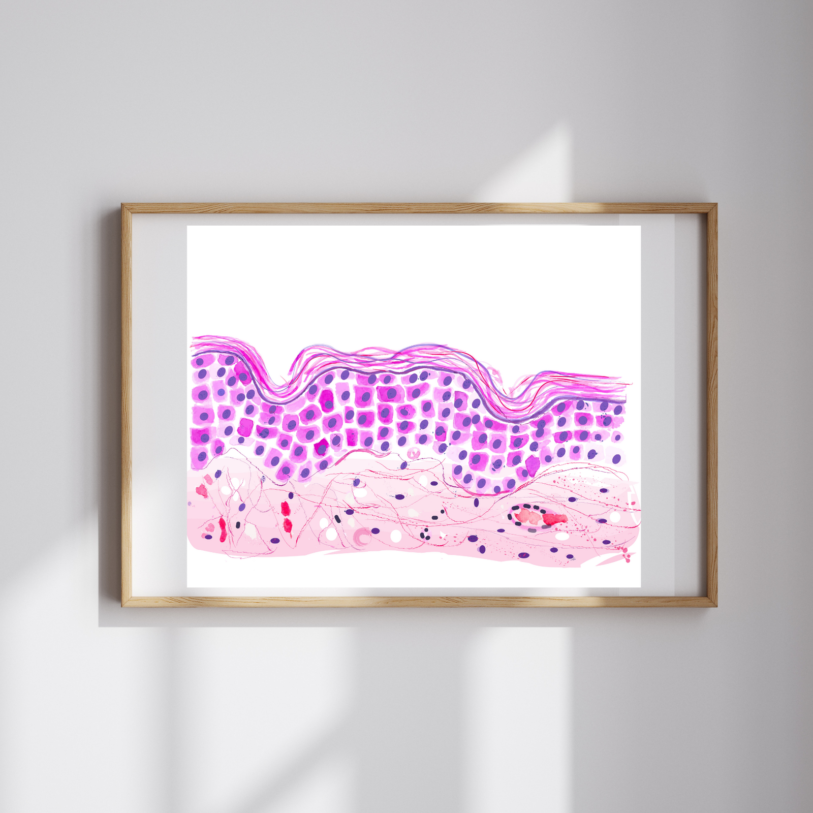Skin Histology Watercolor Art