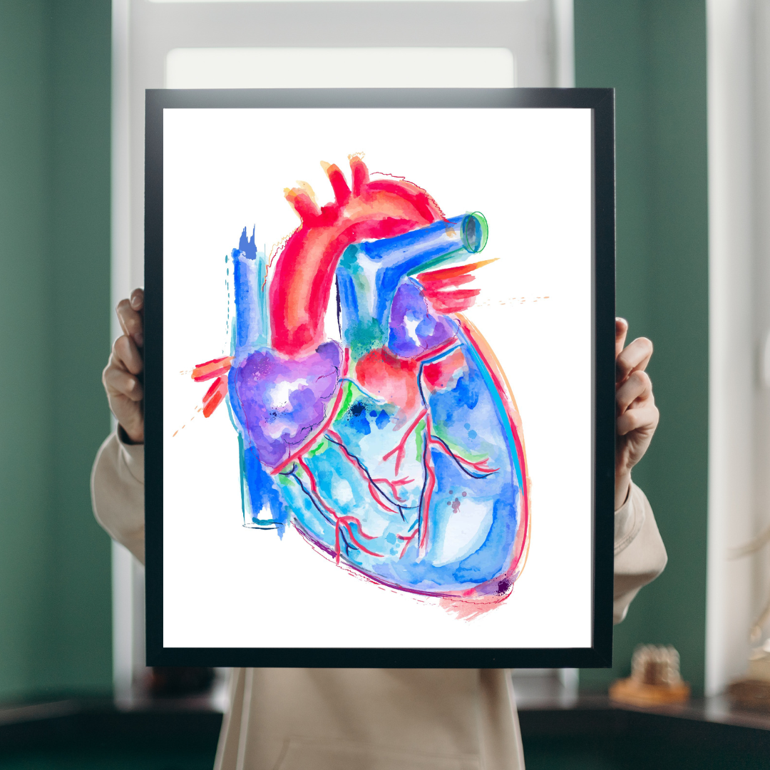 heart watercolor anatomy art print
