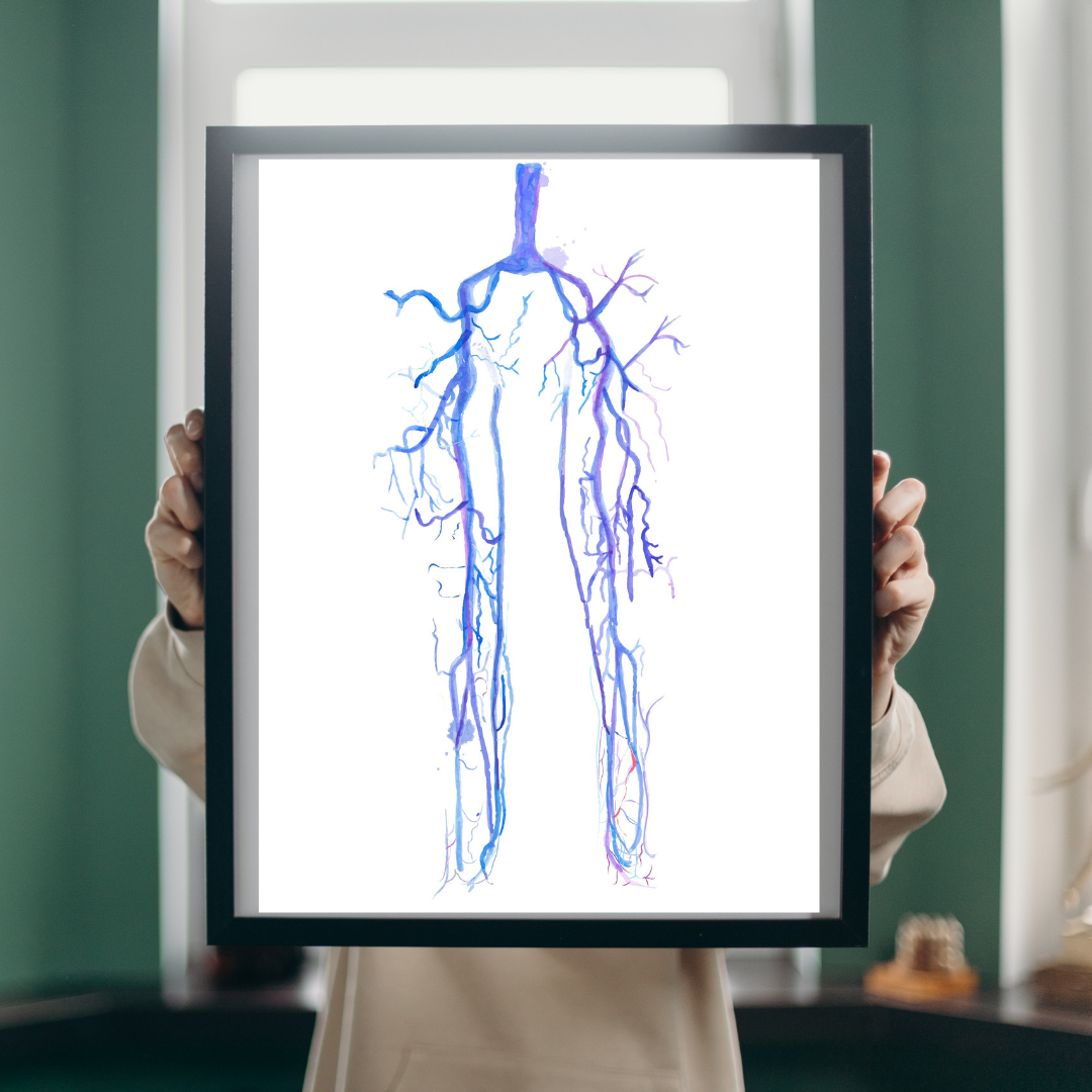 Lower Limb CTA Watercolor Art Print