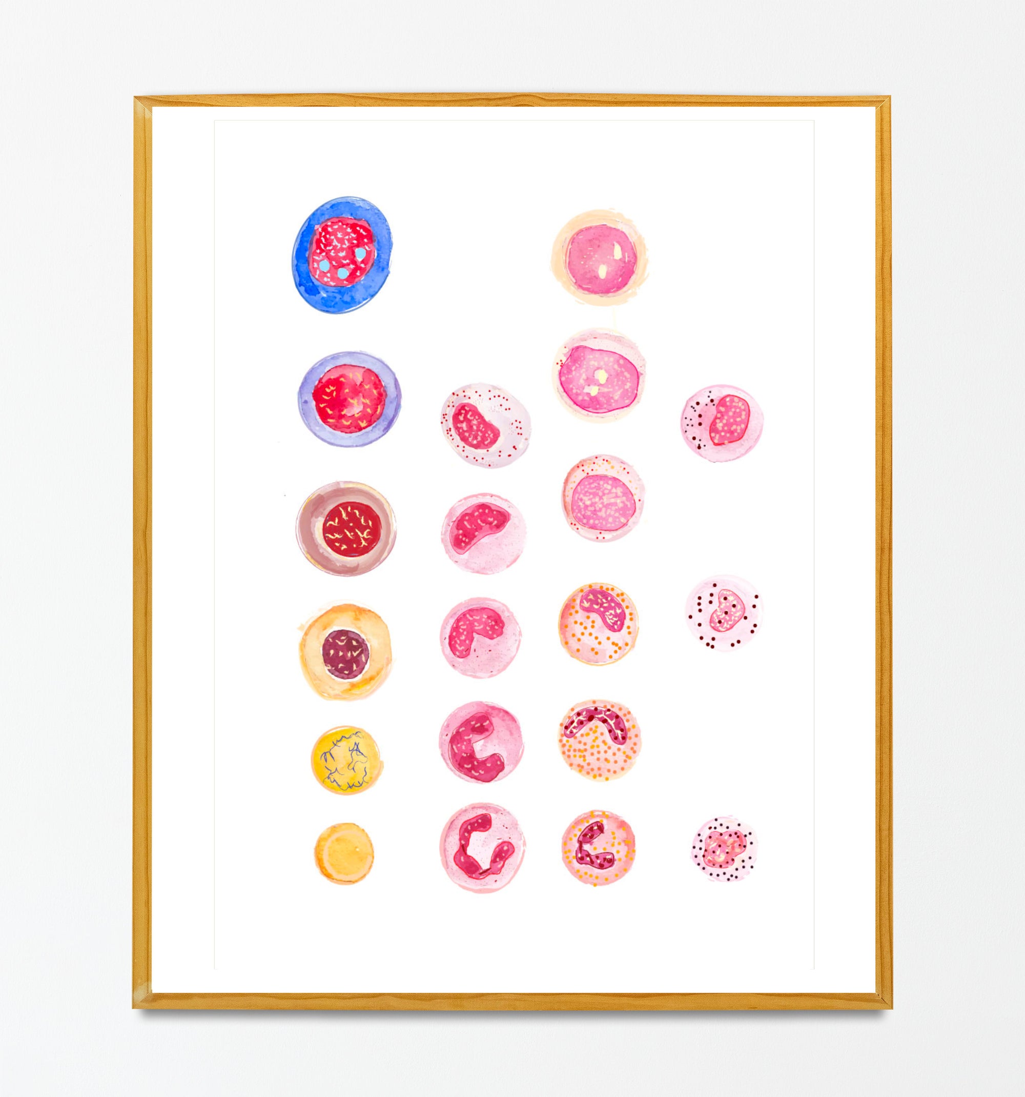 Blood Cell Art, Hematology Artwork, Science Medical Laboratory Wall Art