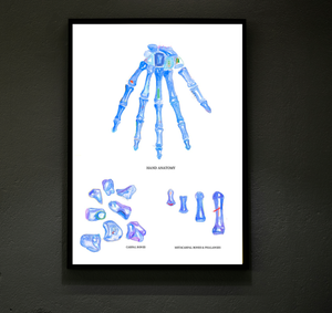 Hand Anatomy Art Print