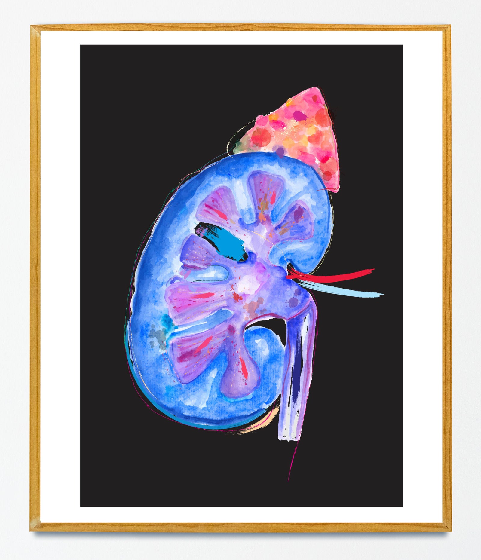 Kidney Modern Anatomy Art Print
