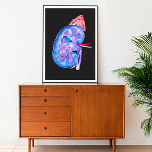 Kidney Modern Anatomy Art Print